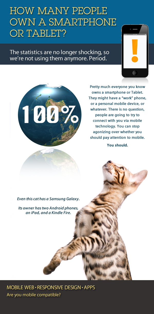 everyone_infographic3