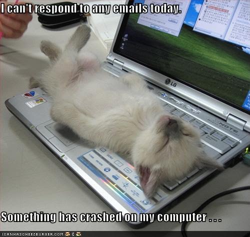 lolcat_email
